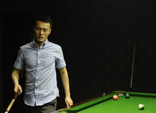 动爱好者的 动爱好者的