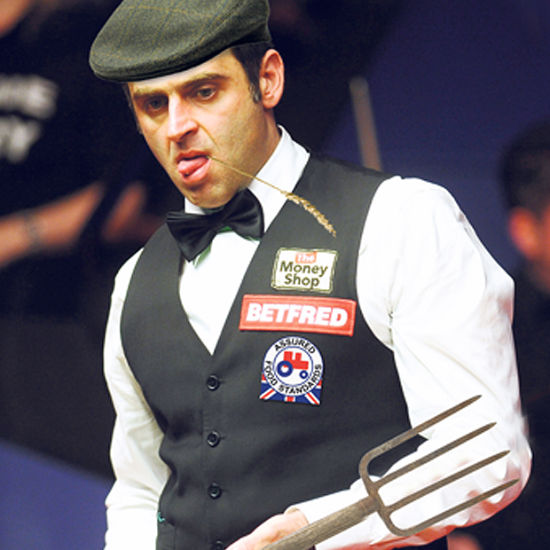 的决定成为 的决定成为