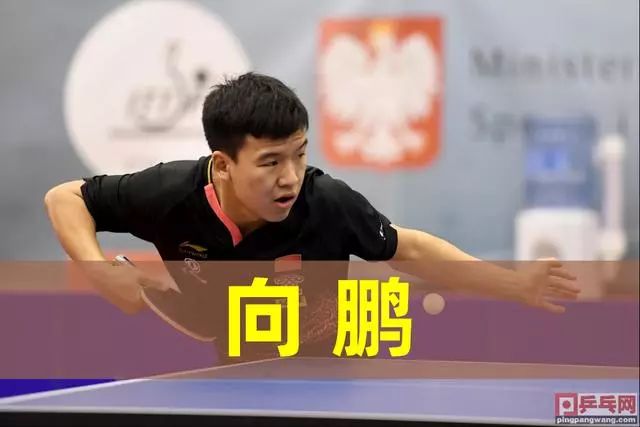 有潜力的年 有潜力的年